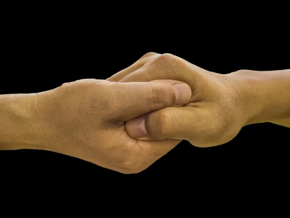 بلو فوكس كازينو الدعم